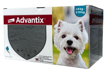 ADVANTIX SPOT-ON 1ML (4-10KG)  24 db