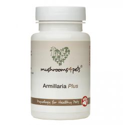 ARMILLARIA PLUS  60 kapszula