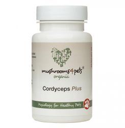 CORDYCEPS PLUS (500 MG)  60 kapszula