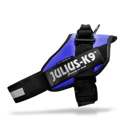 Julius-K9 IDC powerhám, kék   
