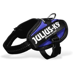 Julius-K9 IDC powerhám, kék   