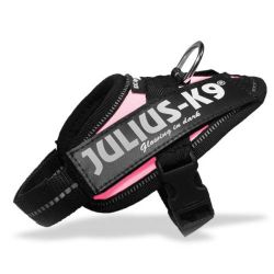 Julius-K9 IDC powerhám, pink   