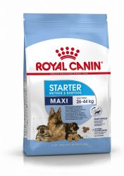 Royal Canin Maxi Starter - nagy testű kölyök és vemhes kutya száraz táp  4 kg