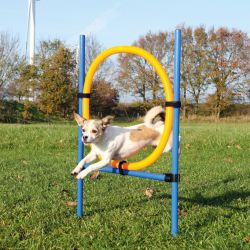 Trixie Agility - karika (ugró akadály)  115x3x65 cm