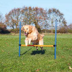 Trixie Agility - ugró akadály  125x115x3 cm