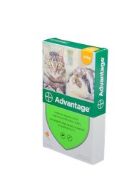 Advantage rácsepegtető oldat kistestű macskáknak és nyulaknak  1 db