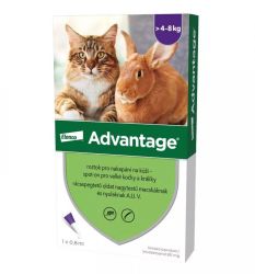 Advantage rácsepegtető oldat nagytestű macskáknak és nyulaknak  1 db