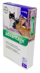 Advantage rácsepegtető oldat nagytestű macskáknak és nyulaknak  1 db