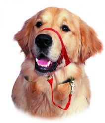 HALTI húzás elleni szájszíj piros  3 