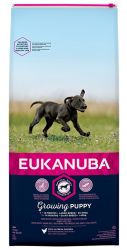 Eukanuba Growing Puppy Large Breed - chicken  15 kg