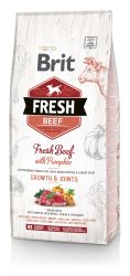 Brit Fresh Puppies & Junior Dogs Growth & Joints - Marha és sütőtök  2.5 kg