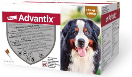 ADVANTIX SPOT ON 6 ML (40-60KG)  24 db