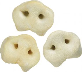 Flamingo Snacks malac orr 80 db   80 db