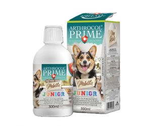 Arthrocol Mobility Junior  300 ml