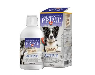 Arthrocol Mobility Active  300 ml