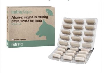 NUTRAPLAQUE NUTRAVET KAPSZULA  60 kapszula