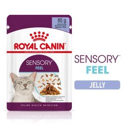 Royal Canin Sensory Feel - zselés nedves táp felnőtt macskák részére 12 x  85 g