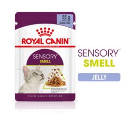 Royal Canin Sensory Smell - zselés nedves táp felnőtt macskák részére 12 x  85 g