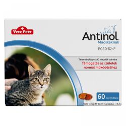 Antinol kapszula macskák számára  60 kapszula