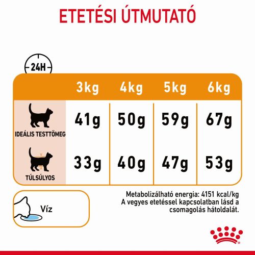 Royal Canin Hair & Skin Care - száraz táp felnőtt macskák részére a szebb szőrzetért és az egészséges bőrért  400 g