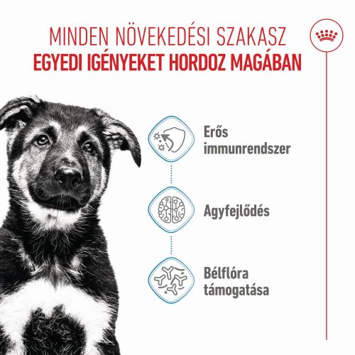 Royal Canin Maxi Puppy - nagytestű kölyök kutya száraz táp  15 kg