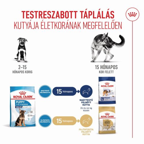 Royal Canin Maxi Puppy - nagytestű kölyök kutya száraz táp  15 kg