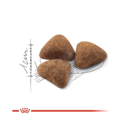 Royal Canin Indoor - lakásban tartott felnőtt macska száraz táp  2 kg