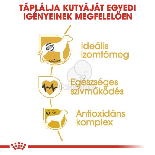 Royal Canin Boxer Adult - Boxer felnőtt kutya száraz táp  12 kg