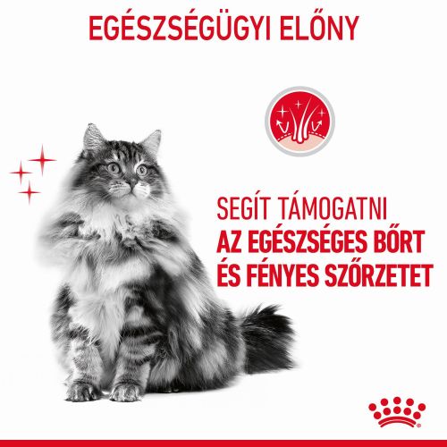 Royal Canin Hair & Skin Care - száraz táp felnőtt macskák részére a szebb szőrzetért és az egészséges bőrért  2 kg