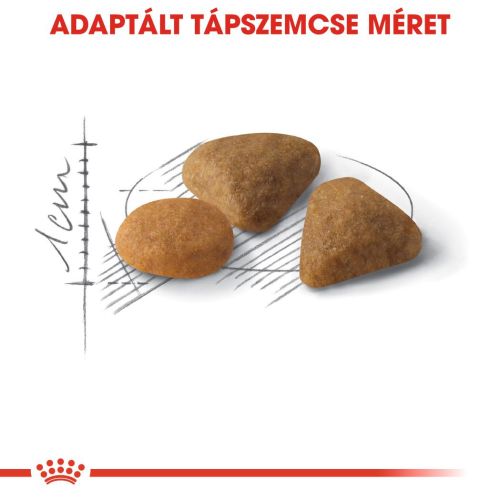 Royal Canin Savour Exigent - válogatós felnőtt macska száraz táp  2 kg