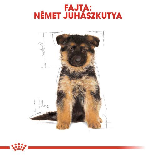 Royal Canin German Shepherd Puppy - Német Juhász kölyök kutya száraz táp  12 kg