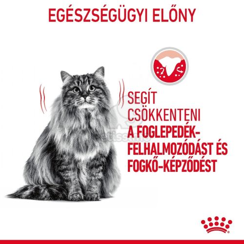 Royal Canin Dental Care - száraz táp felnőtt macskák részére a fogkőképződés csökkentéséért  400 g