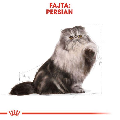 Royal Canin Persian Adult - Perzsa felnőtt macska száraz táp  2 kg