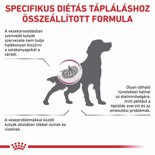 Royal Canin Renal  2 kg