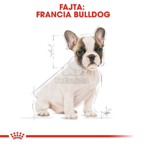 Royal Canin French Bulldog Puppy - Francia Bulldog kölyök kutya száraz táp  3 kg