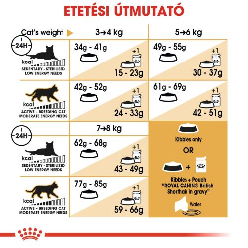 Royal Canin British Shorthair Adult - Brit rövidszőrű felnőtt macska száraz táp  4 kg