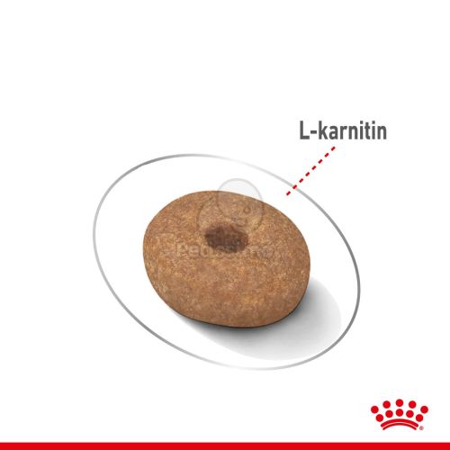 Royal Canin Mini Light Weight Care - száraz táp hízásra hajlamos, kistestű felnőtt kutyák részére  8 kg