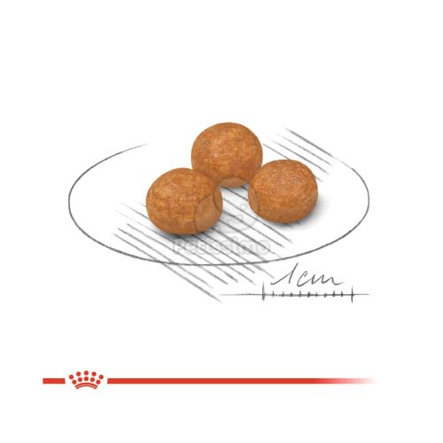 Royal Canin X-Small Adult - nagyon kistestű felnőtt kutya száraz táp  500 g