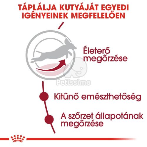 Royal Canin Medium Adult 7+ - közepes testű idősödő kutya száraz táp  4 kg
