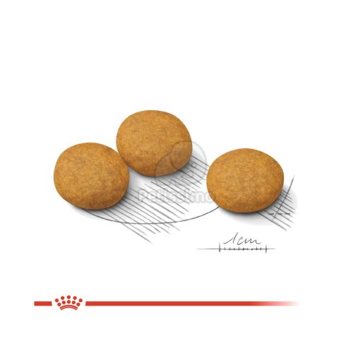 Royal Canin Medium Dermacomfort - száraz táp bőrirritációra hajlamos, közepes testű felnőtt kutyák részére  3 kg