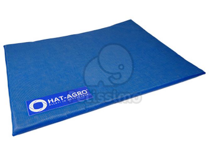 Lábfertőtlenítő szőnyeg (HGO)  60x80 cm