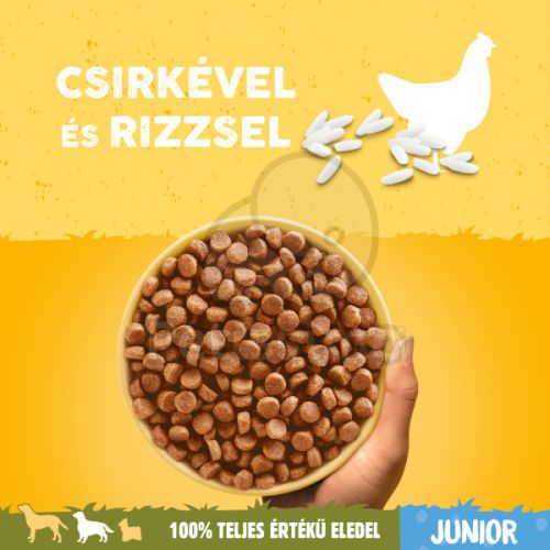 Pedigree Junior szárazeledel csirkehússal és rizzsel  15 kg