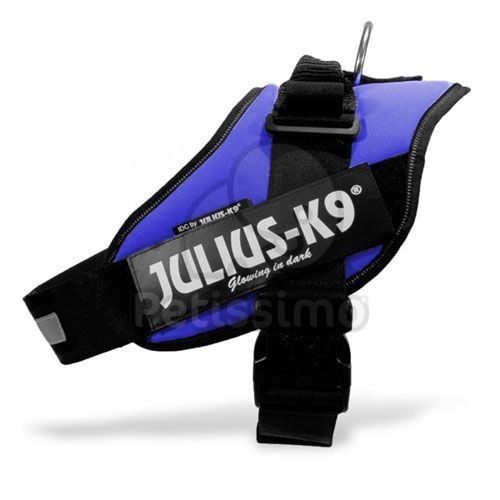 Julius-K9 IDC powerhám, kék   
