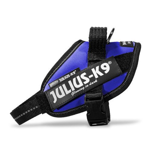 Julius-K9 IDC powerhám, kék   