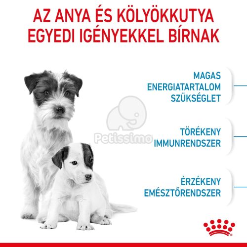 Royal Canin Mini Starter - száraz táp vemhes szuka és kistestű kölyök kutya részére  8.5 kg