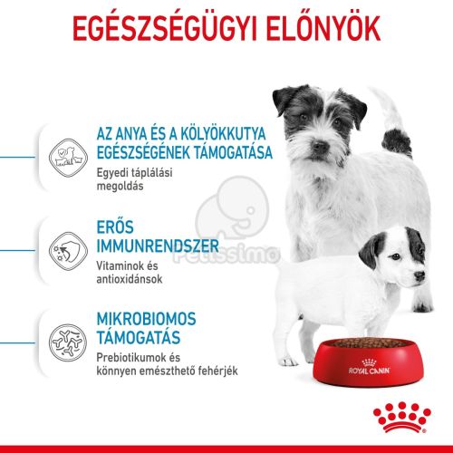 Royal Canin Mini Starter - száraz táp vemhes szuka és kistestű kölyök kutya részére  8.5 kg