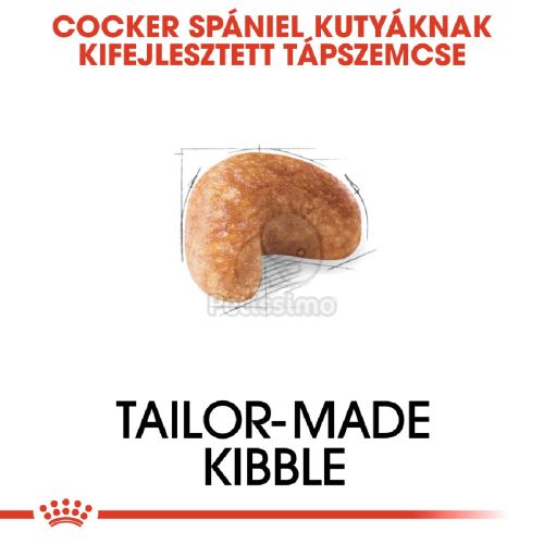 Royal Canin Cocker Adult - Cocker Spániel felnőtt kutya száraz táp  3 kg