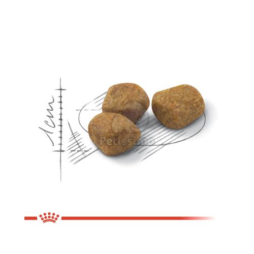 Royal Canin Indoor 7+ - lakásban tartott idősödő macska száraz táp  1.5 kg