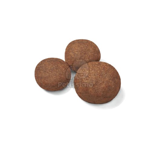 Royal Canin Medium Puppy - közepes testű kölyök kutya száraz táp  15 kg