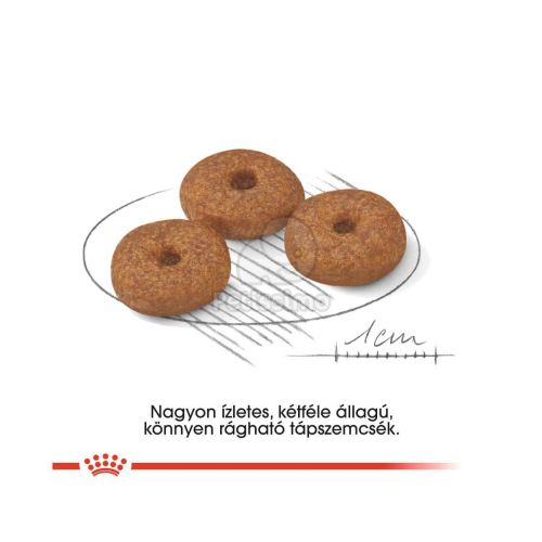 Royal Canin Mini Ageing 12+ - kistestű idős kutya száraz táp  1.5 kg